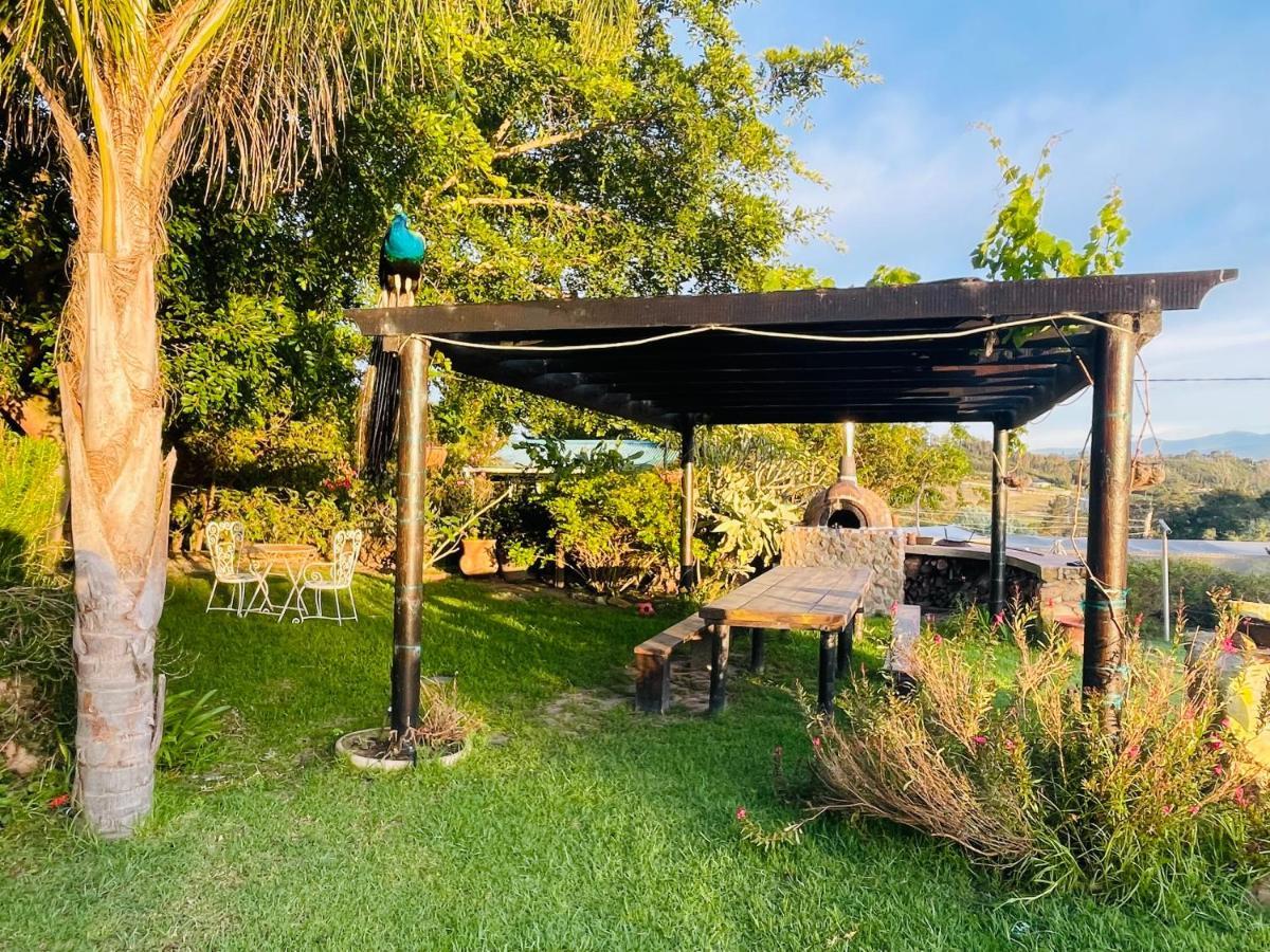 Moonriver Cottage, Prime Lagoon Views & Solar Power Knysna Exterior photo